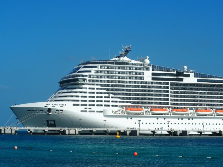 Enormous Cruise Ship in Port