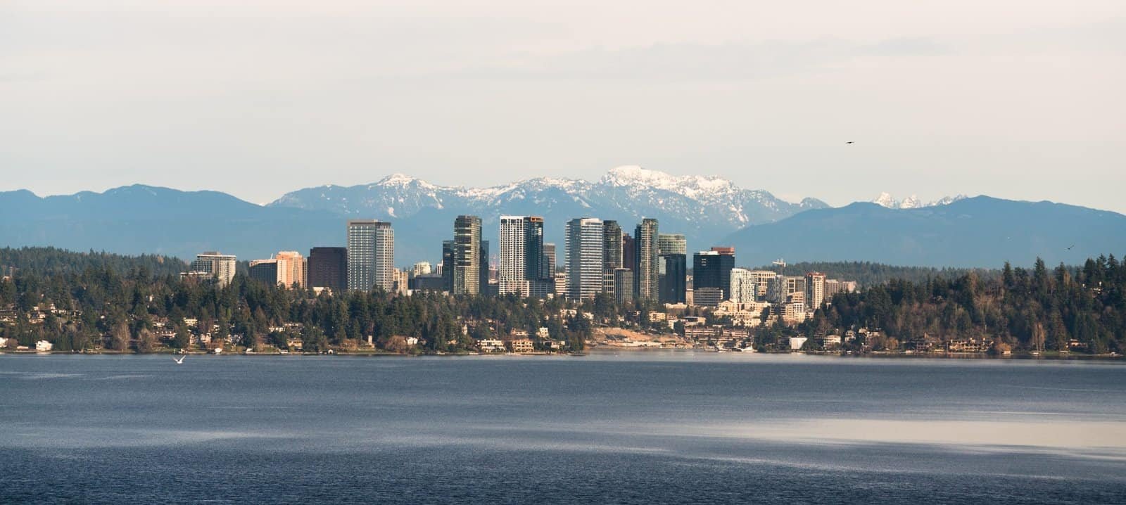 Bellevue Luxury Airport Transfer to SEA-TAC